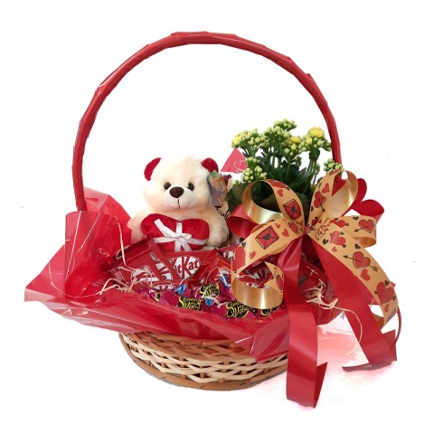 CESTA KITKAT + PELÚCIA